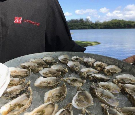 Only Catering Company with access to Hawaii's only oyster company. Kualoa Oysters!