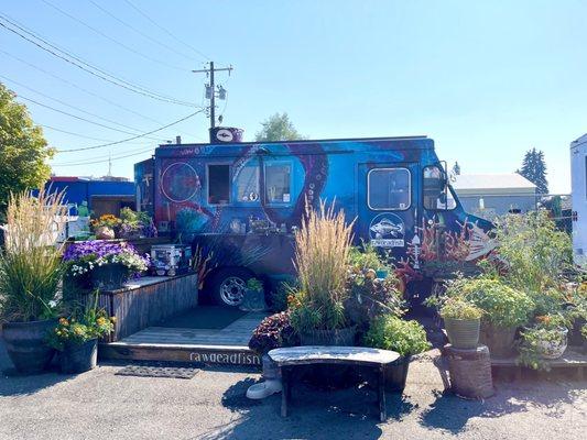 The truck. Love the garden outside.