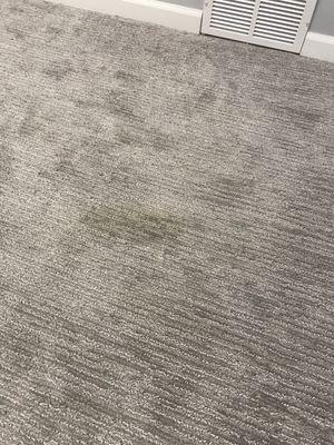 Bloody carpet stain