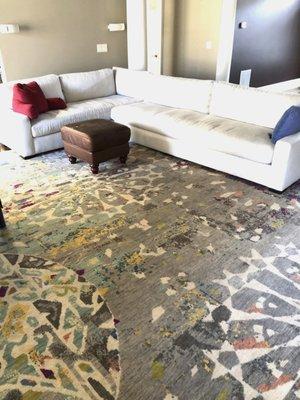 Transition Jankat rug for Family room