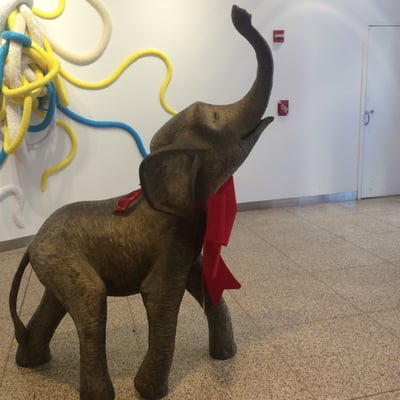 Found this elephant in our lobby. My spirit animal!!