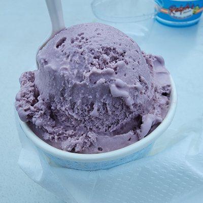 Black Raspberry Hard Ice Cream