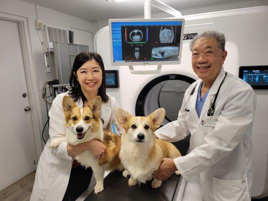 Our New CT (Cat Scan) machine helps with finding hidden disease, thus extending the quality & length of time with your pet!