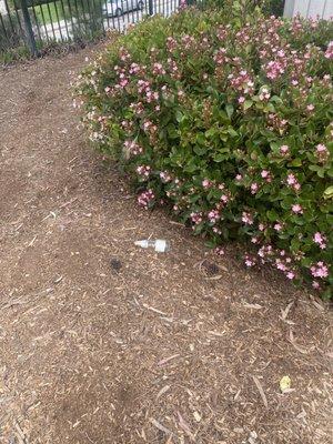 Trash, beer bottles at child playground