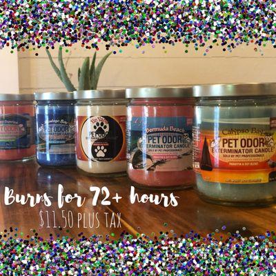 Pet Odor Candles