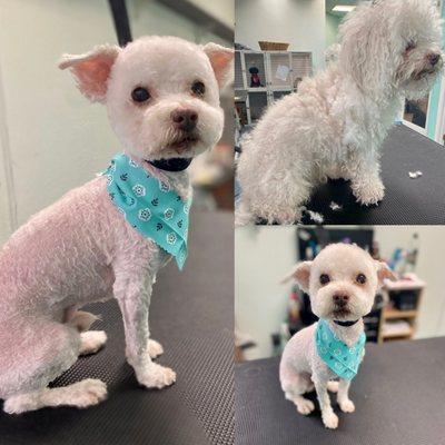 We love rescue makeovers!