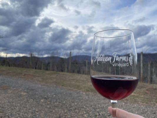 Drinking wine outside with a view of the winery.