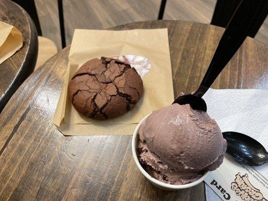 Brownie, black raspberry ice cream