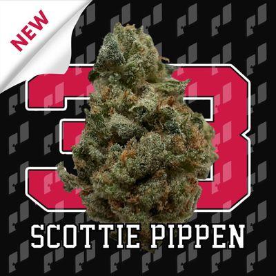 New Strain - Scottie Pippen 33 (Sept-Oct 2022)