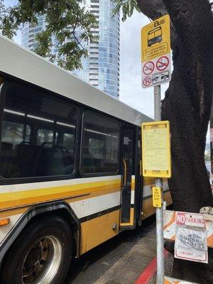 Bus Stop conveniently located in front of the building on Piikoi Street  Bus Stop #4687