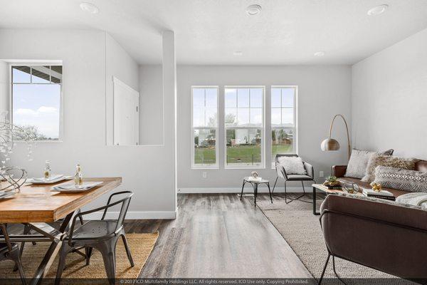 Spacious Living Room and Dining Room