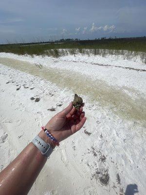 Another cool guy we found. Also put back after picture.