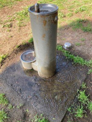 Defective water fountain