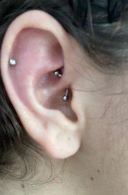 tragus piercing by Tallia