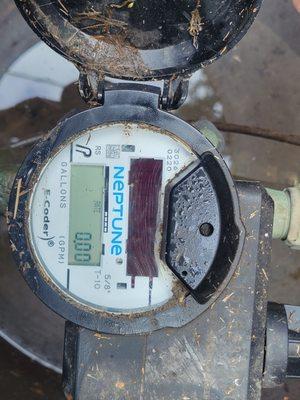 Digital water meter