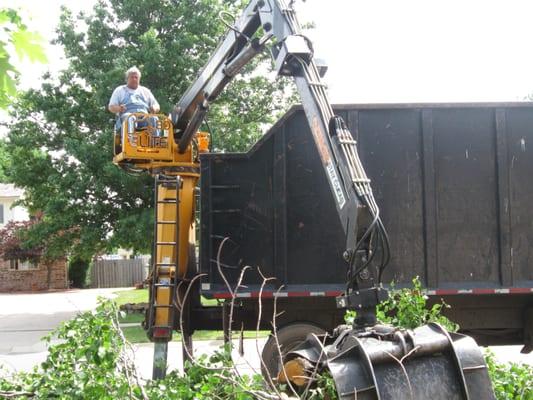 Just a days work at Alfred's Superior Tree Service!