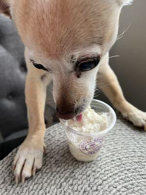 She says, "Thank You for the PuPappuccino "