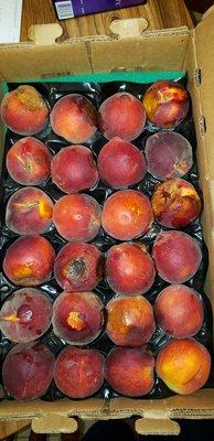 How the peaches arrived!