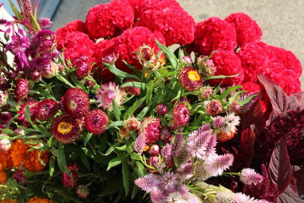 Lovely locally grown flowers!