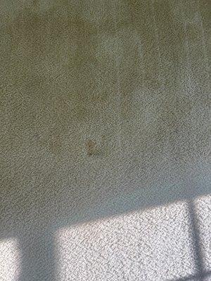 Stains that weren't removed