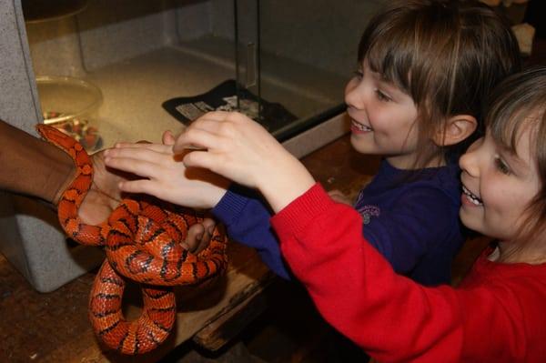 Two girls experiencing the magic of reptiles for the first time!