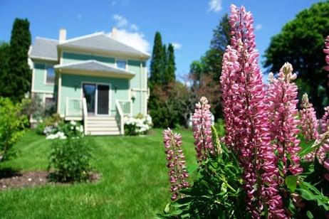 Backyard Gardens