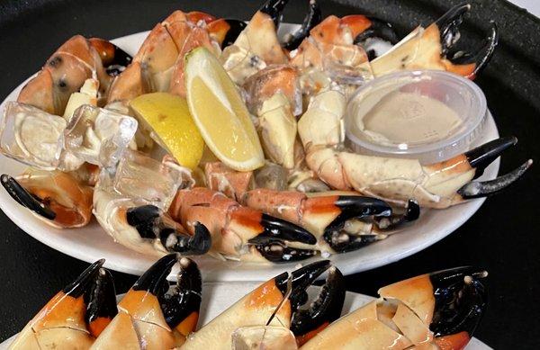 Fresh Florida stone crabs!