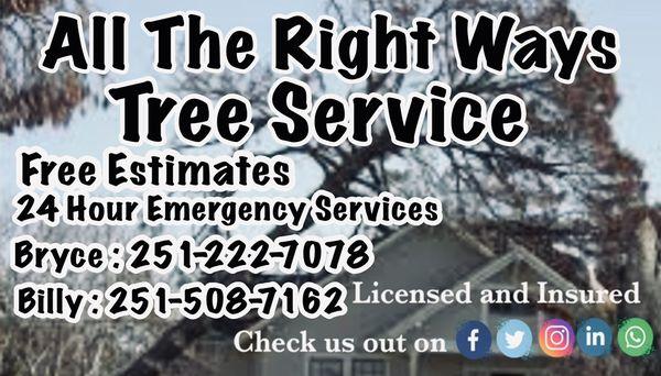 All The Right Ways Tree Service