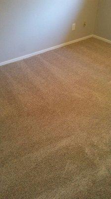 A brand new installed carpet by columbia carpet care