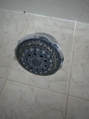 Disgusting shower head