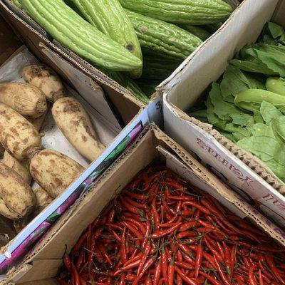 Assortment of fresh vegetables