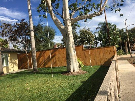 Stain wood fence