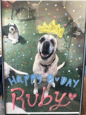 (And yes, they took birthday photos of Ruby every year.)