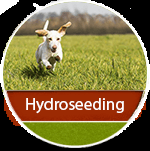 Thats right we do it all even lawn hydroseeding. We have a specialized process that exceeds and achieves all at a cost you can afford!