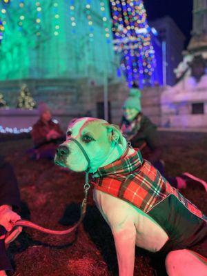 Betty under the Circle of Lights