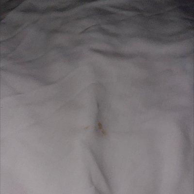 This is horrible! I looked the bed and I seen a stain!