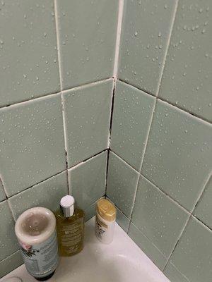 Mold everywhere in bathroom