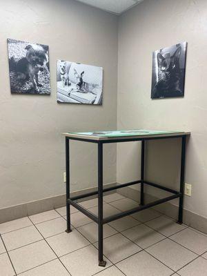 Exam room decorated with photos of clients' pets.