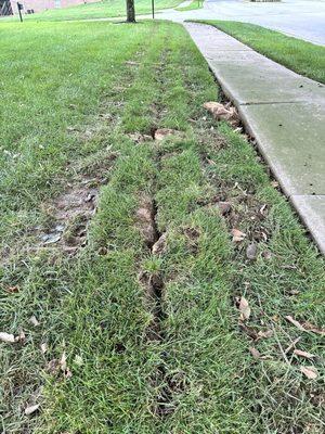 Ruts, debris, ruined yard