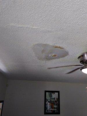 Roof Leaks and Ceiling repair