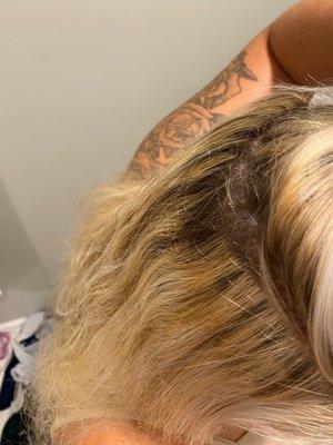 Brassy roots ,, patchy