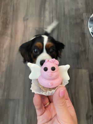 Flying Pig pupcake