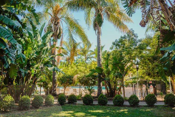 Take a walk through the tropical courtyard.