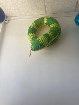 Snake float