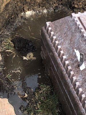 Vault lowered into this shallow muddy water filled sunken hole.