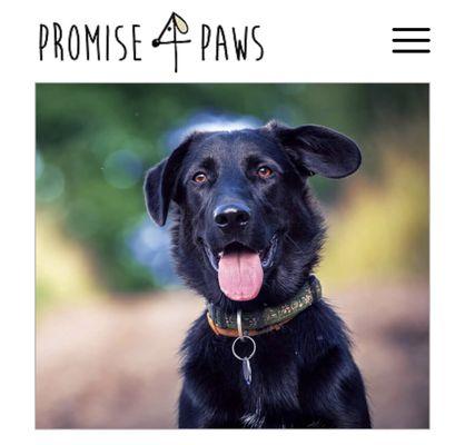 Promise 4 Paws