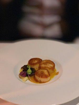 Seared Maine Scallops