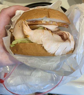 Look at the size of this sandwich!!