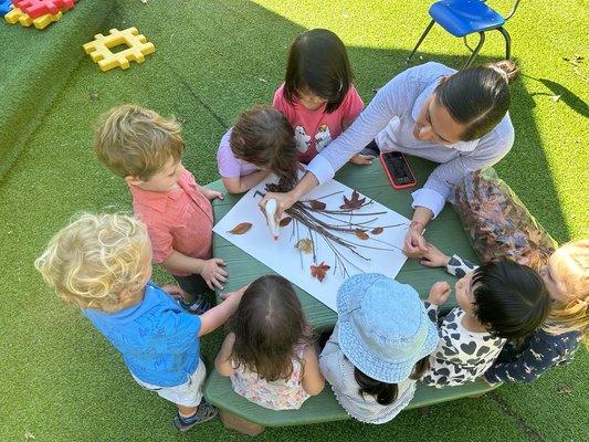 Learning about nature through art