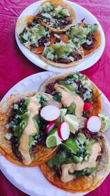 Tacos Grandes & Tacos Chicos